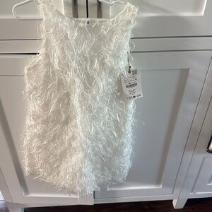 NWT Zara Feather Dress